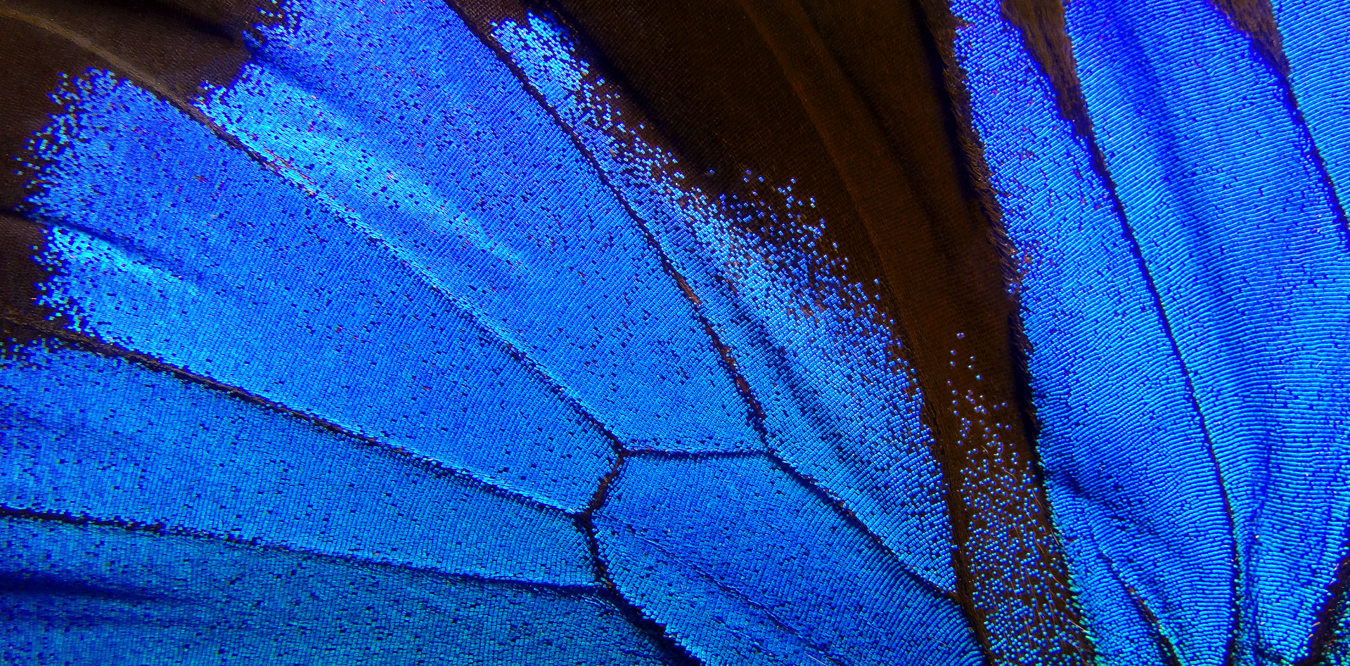 Innovators Manufacturers Suppliers